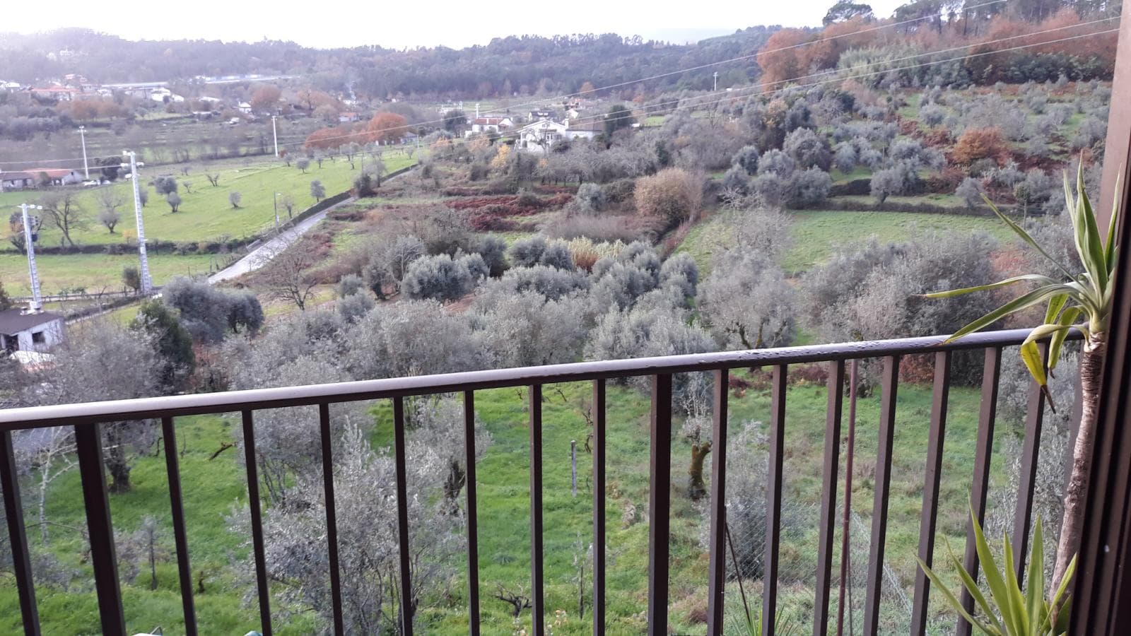 Moradia V5 · Viseu — imagem 17