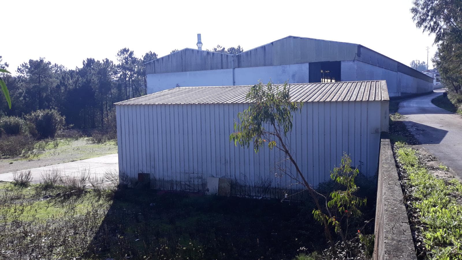 Armazéns + Lote para Construção + Terrenos · Ourém — imagem 13