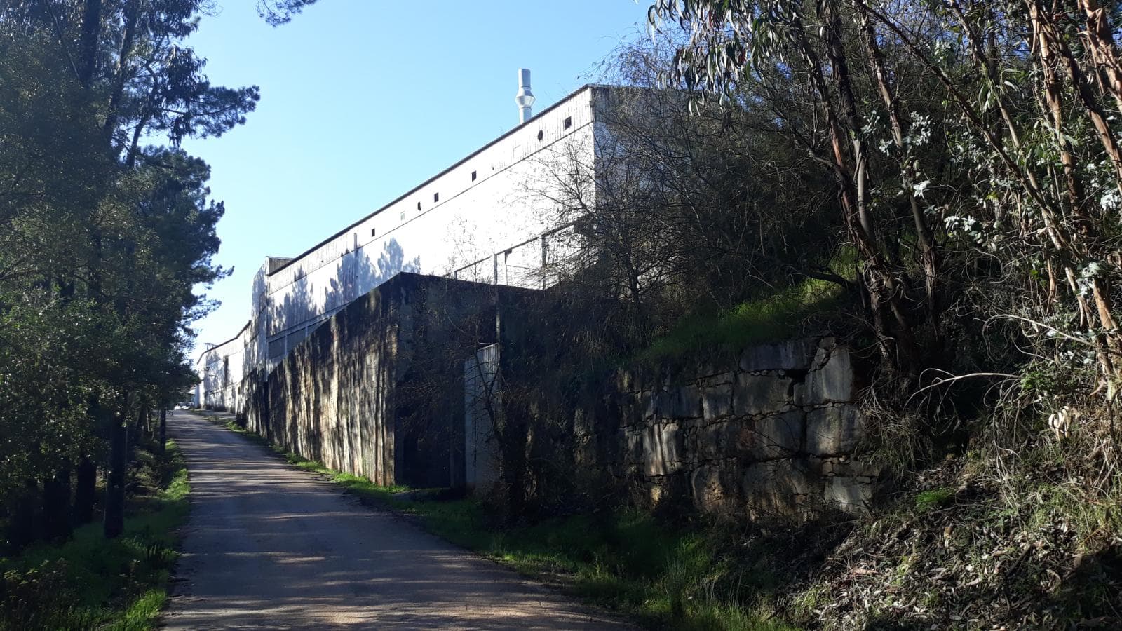 Armazéns + Lote para Construção + Terrenos · Ourém — imagem 18