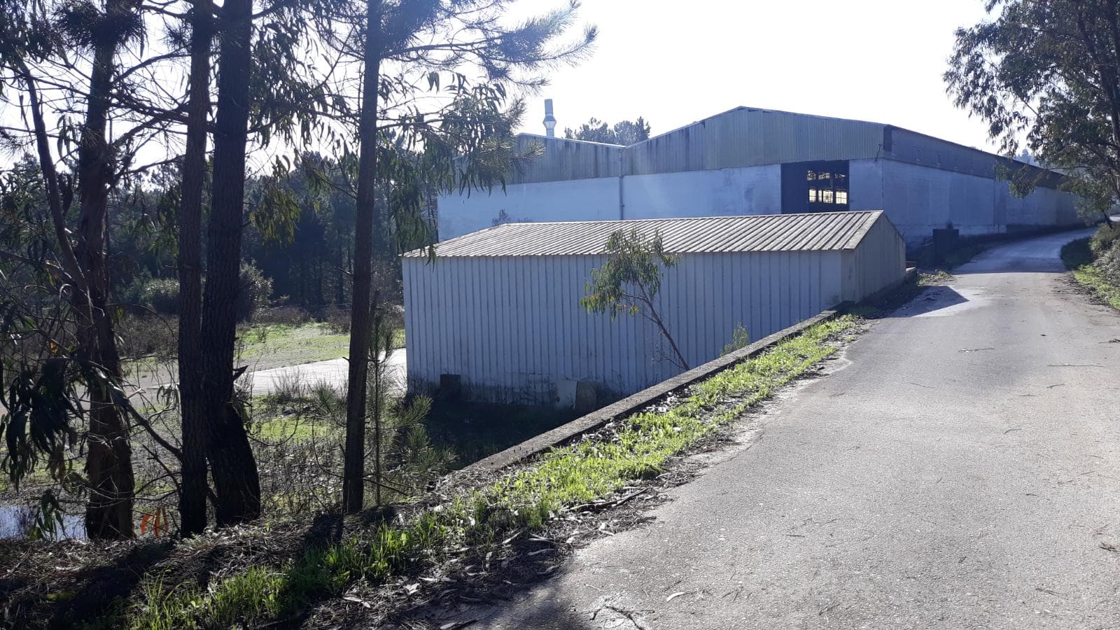 Armazéns + Lote para Construção + Terrenos · Ourém — imagem 6
