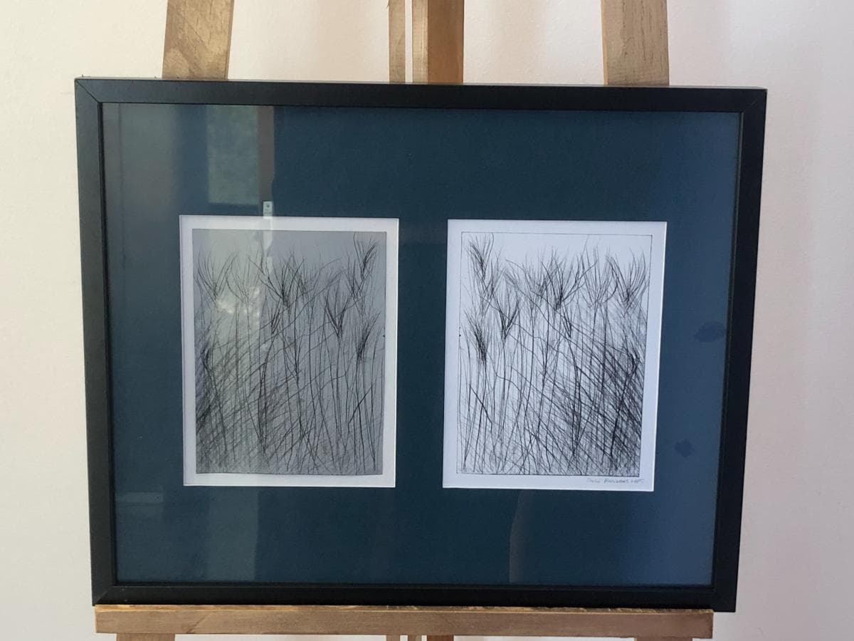 Quadro
