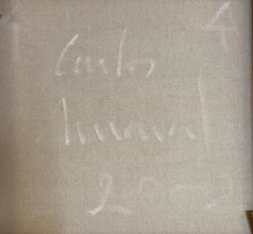 'Sem título' · Carlos Amaral — imagem 3
