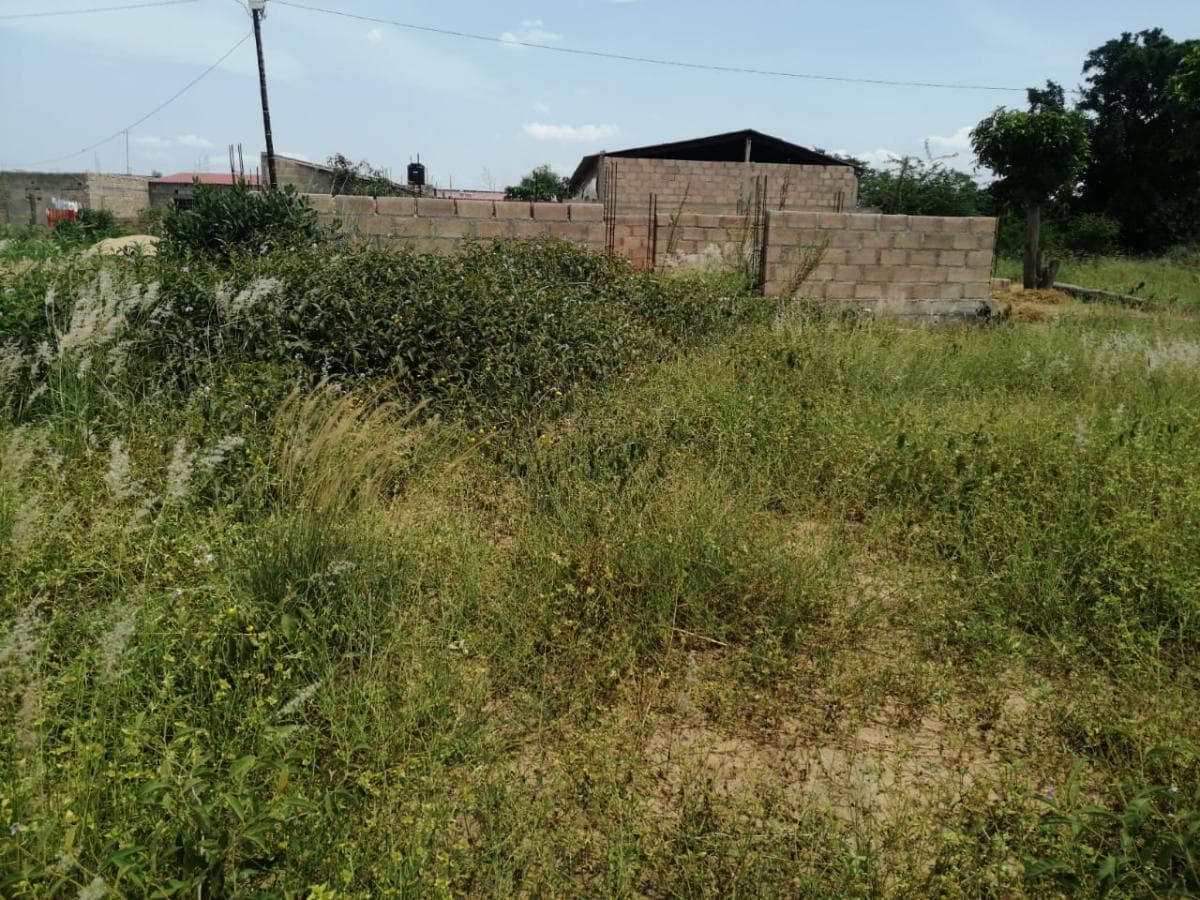 Casa T2 inacabada em terreno de 351m2  · — image 11