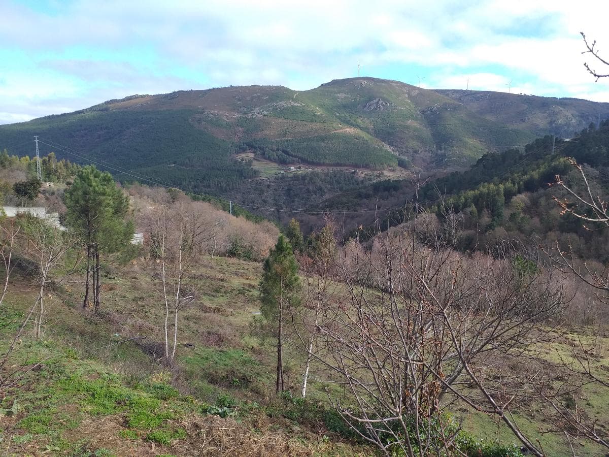 Terreno · Ribeira de Pena, Vila Real