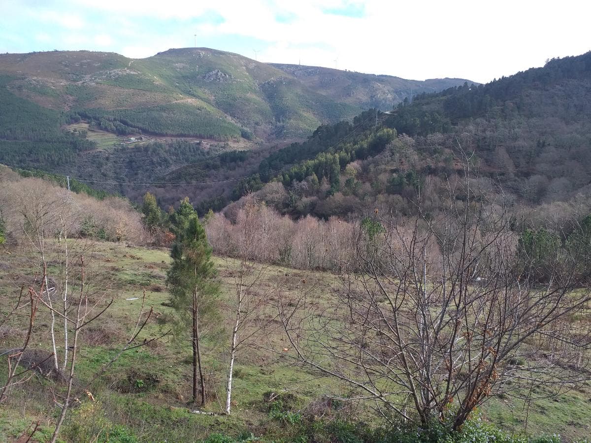 Terreno · Ribeira de Pena, Vila Real — image 2