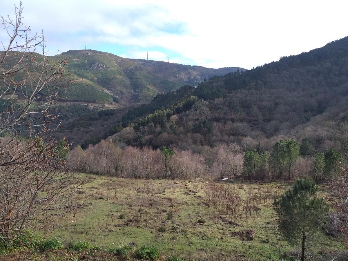 Terreno · Ribeira de Pena, Vila Real — image 3