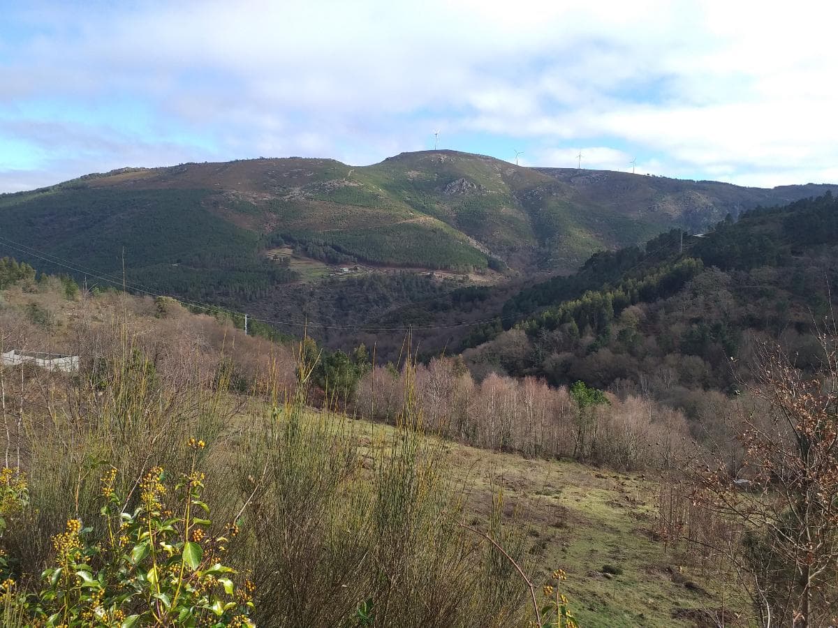 Terreno · Ribeira de Pena, Vila Real — image 5