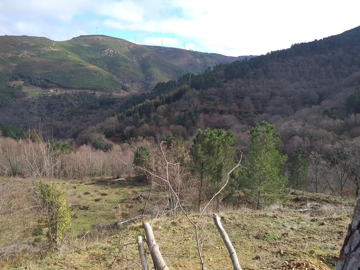 Terreno · Ribeira de Pena — imagen 2