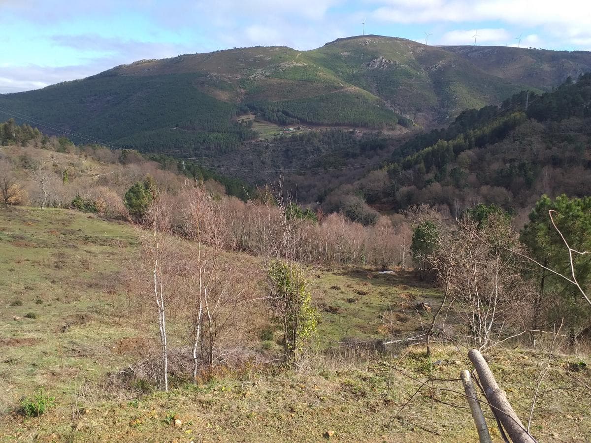Terreno · Ribeira de Pena — imagen 3