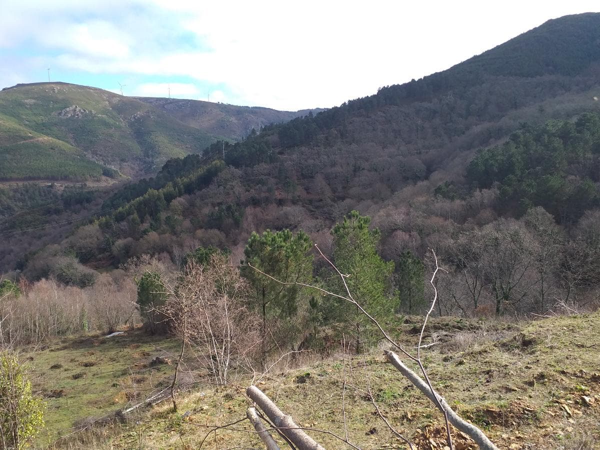 Terreno · Ribeira de Pena — imagen 1