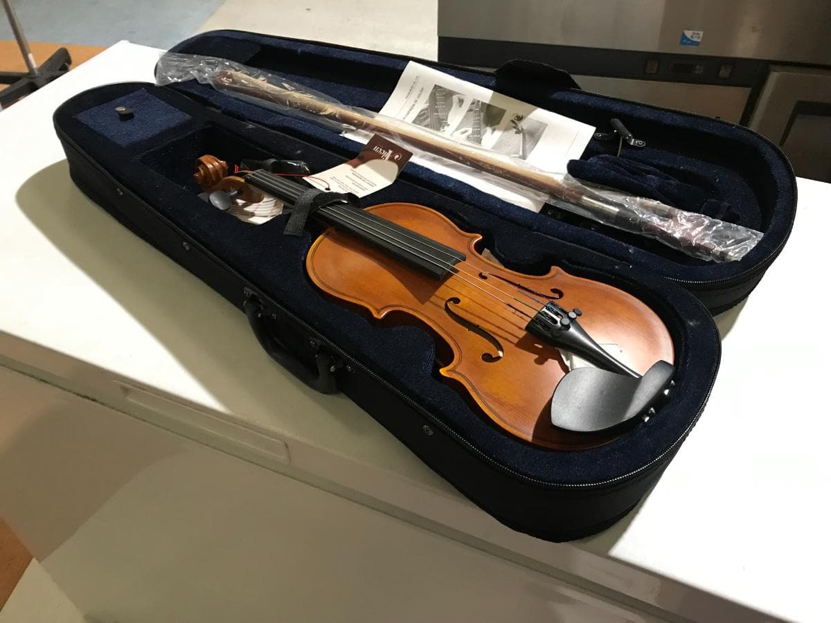 Violino ·