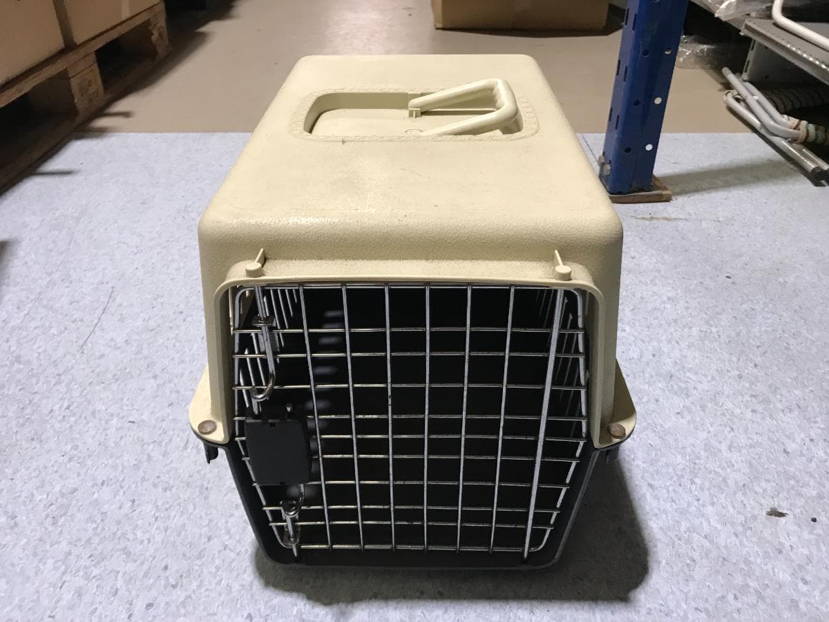 Transportadora Animais