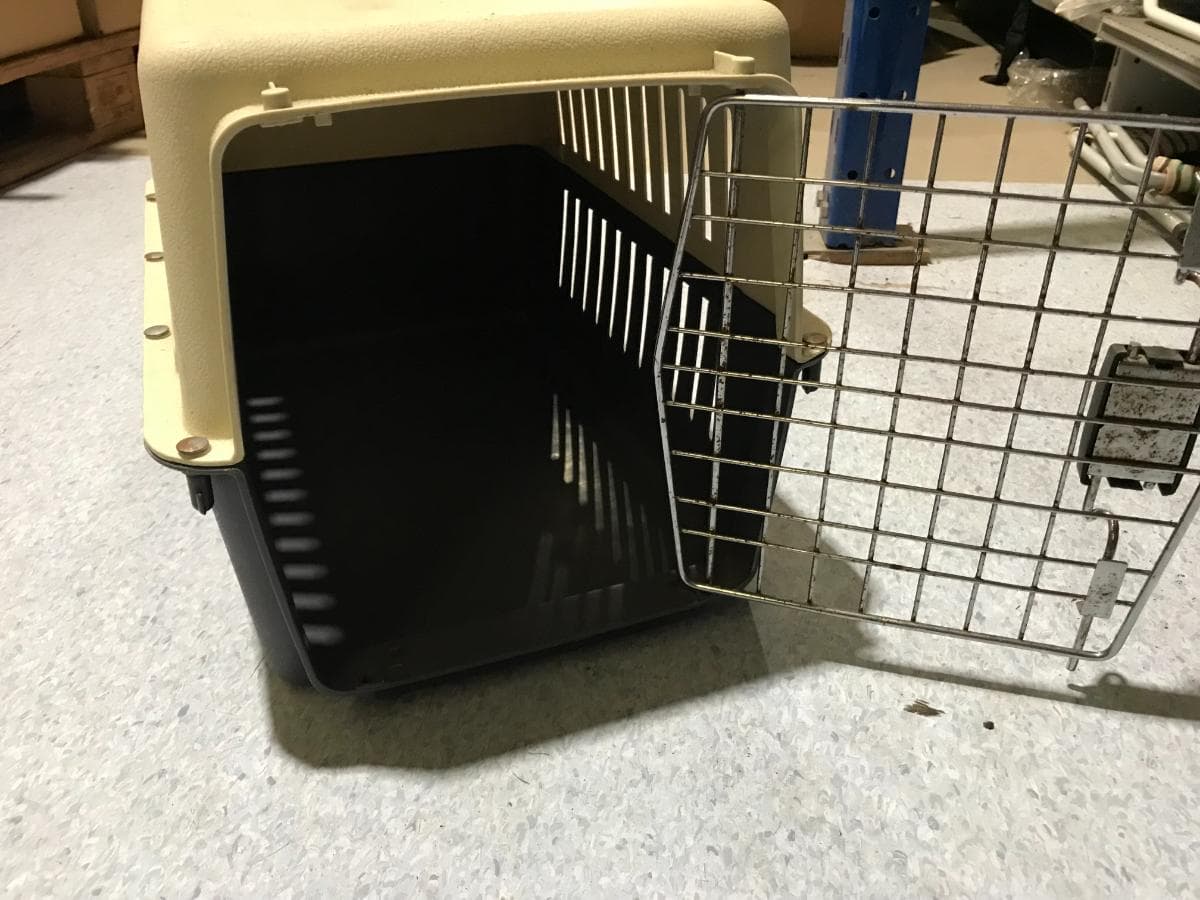 Transportadora Animais — imagem 4