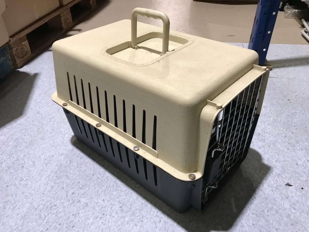 Transportadora Animais — imagem 2