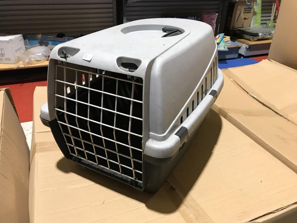 Transportadora Animais