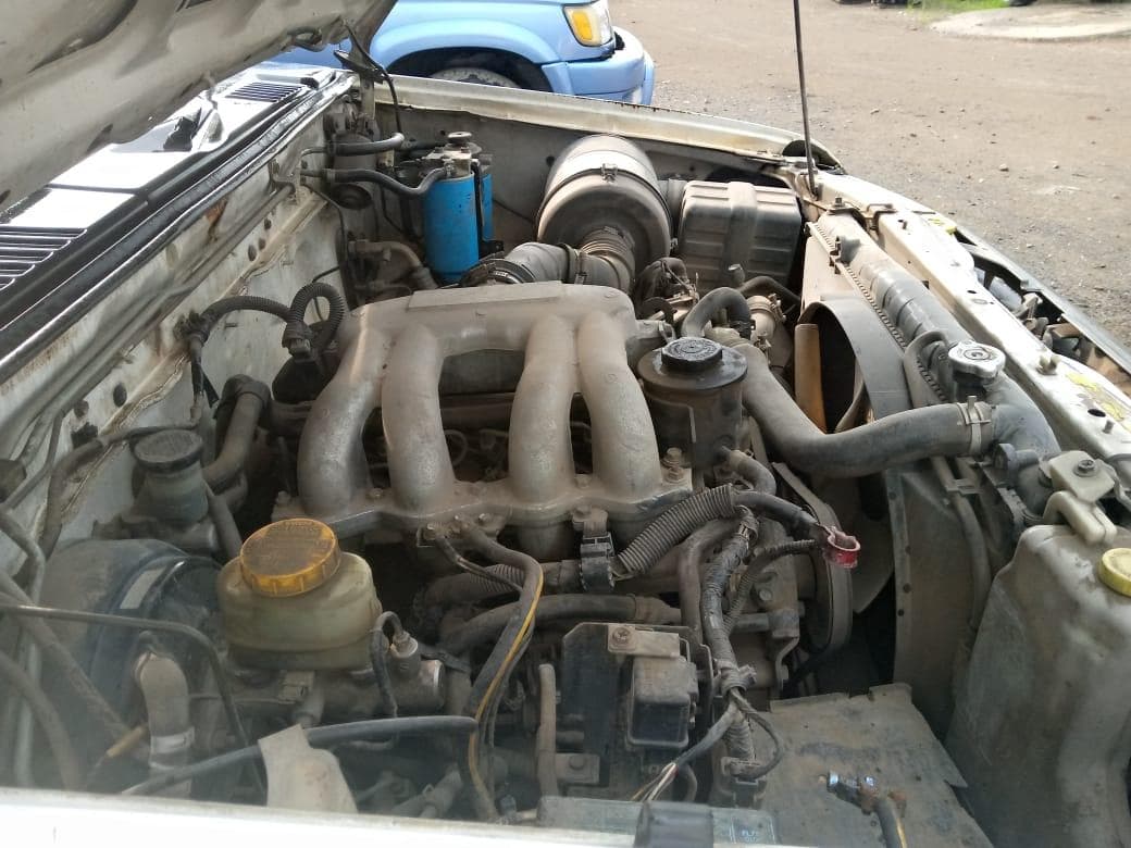 Nissan Hardbody · — imagen 8