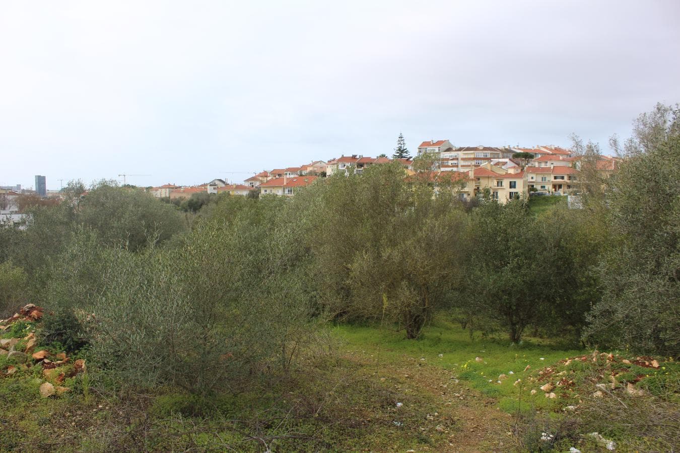 Terreno · Oeiras — imagen 2