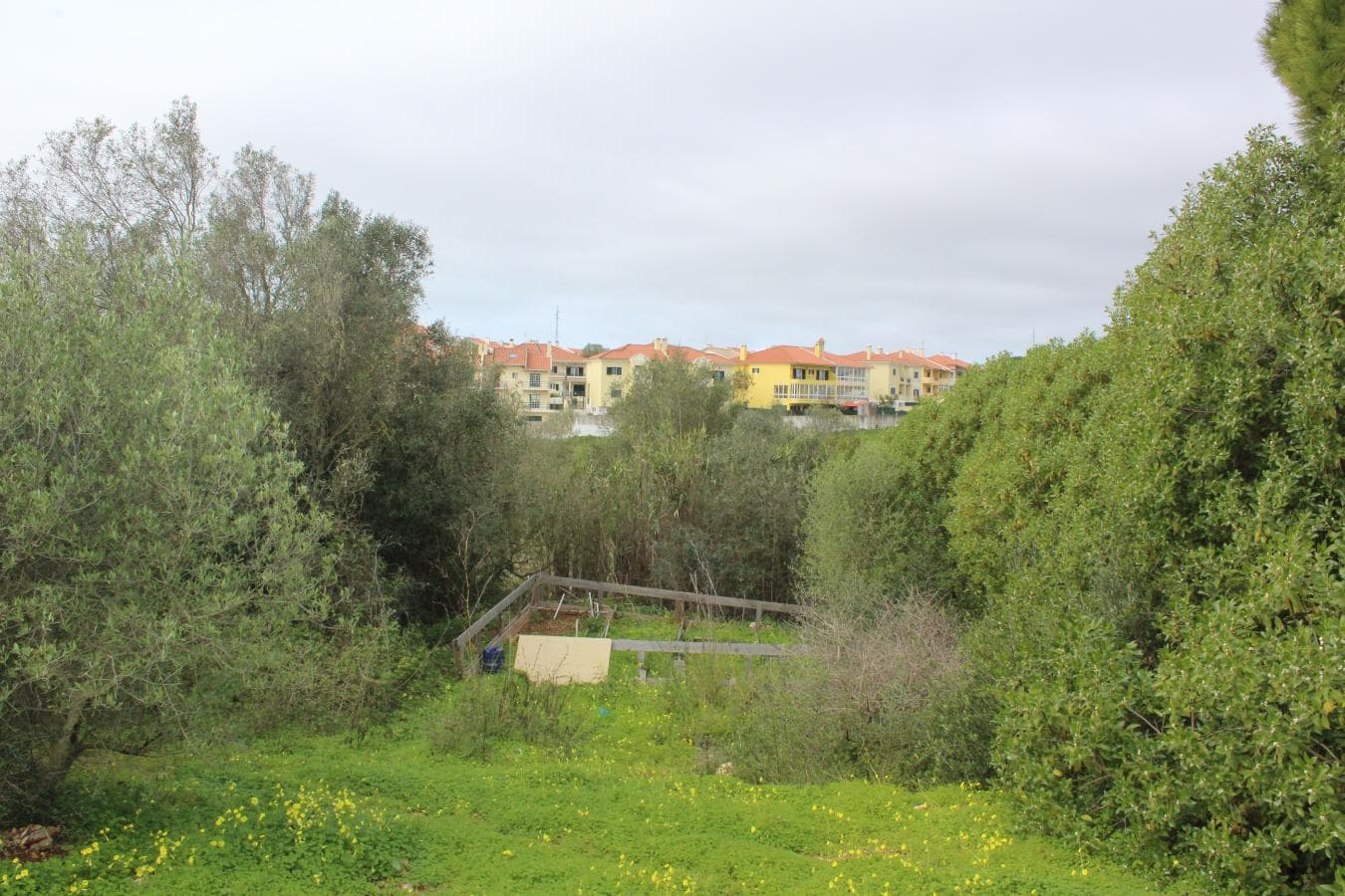 Terreno · Oeiras — imagen 3