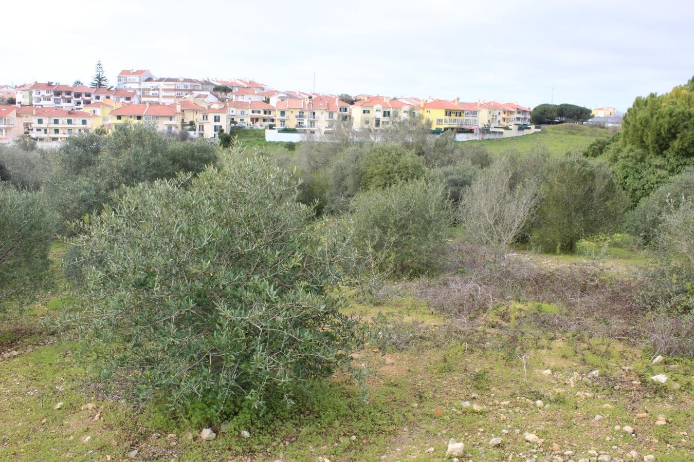 Terreno · Oeiras — imagen 1