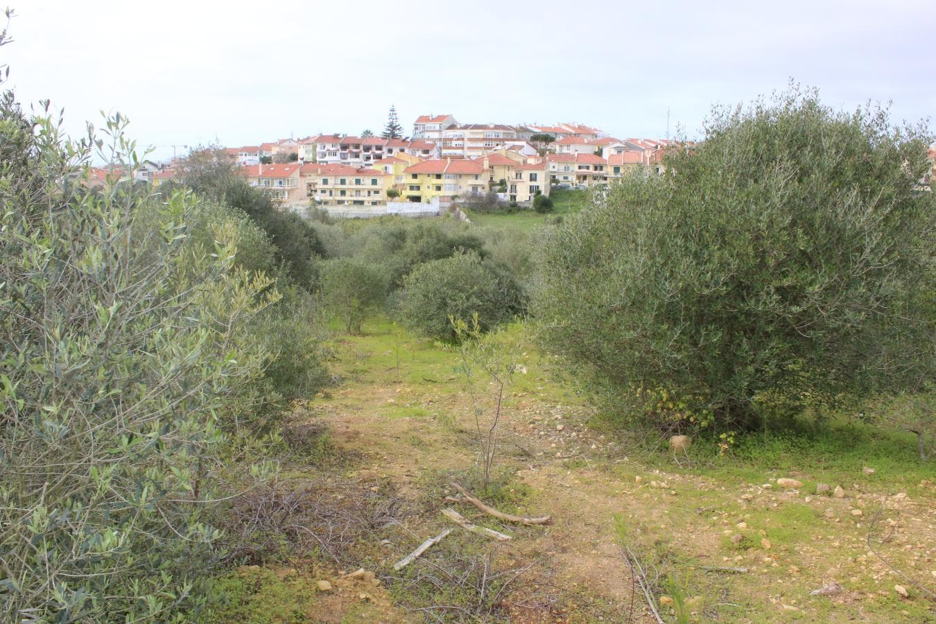 Terreno · Oeiras — imagen 6