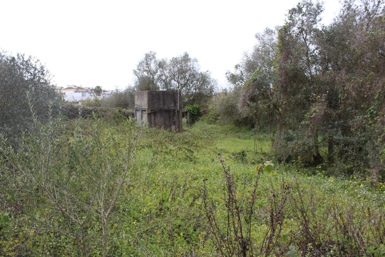 Terreno · Oeiras — imagen 5