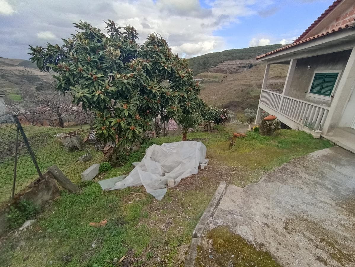 Terreno com Benfeitoria · Valpaços, Vila Real — imagem 35