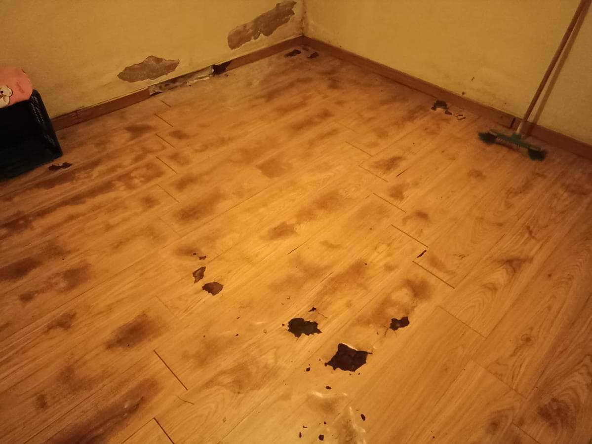 Terreno com Benfeitoria · Valpaços, Vila Real — imagem 18