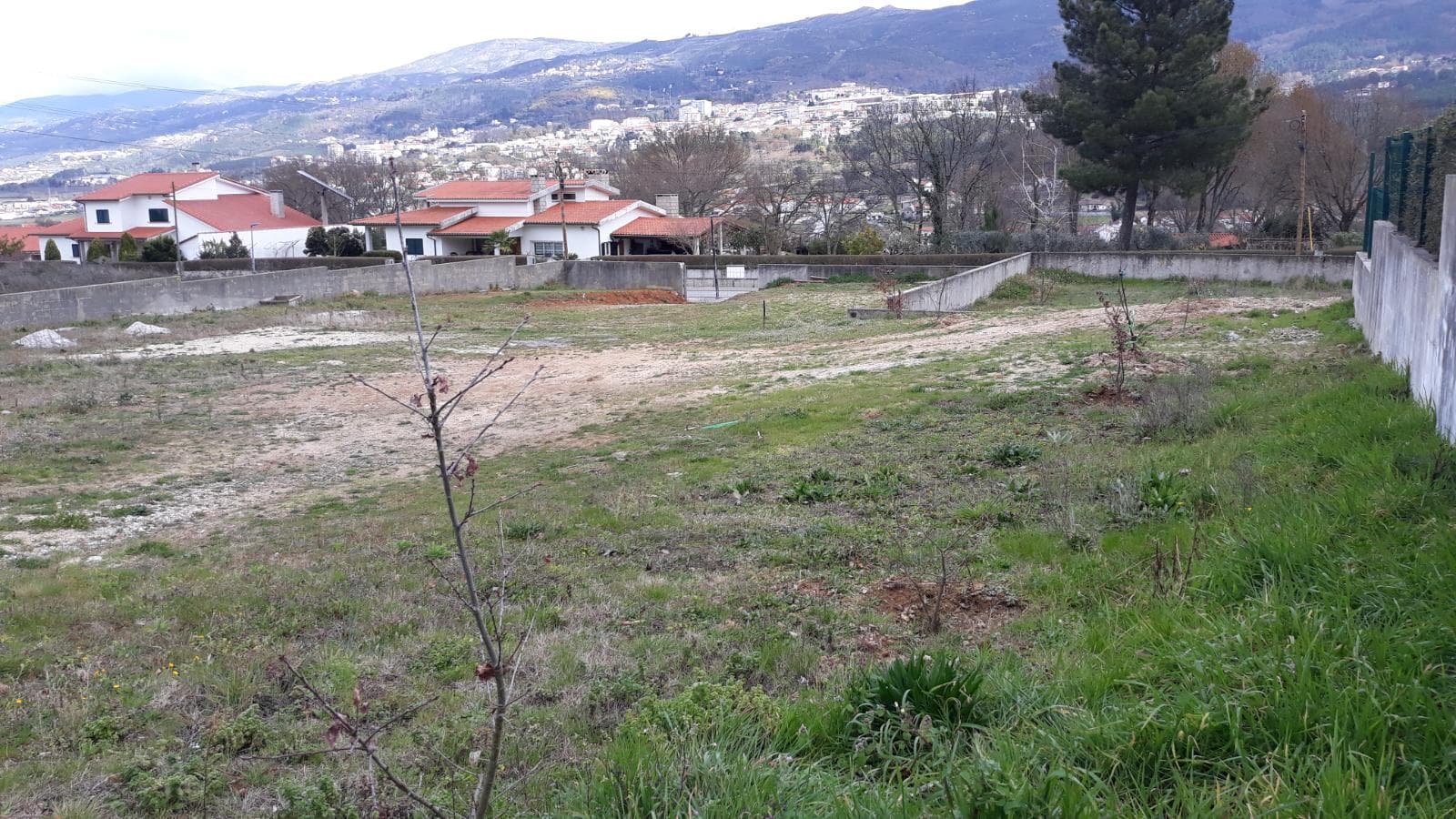 Lote para Construção · Seia — imagem 8