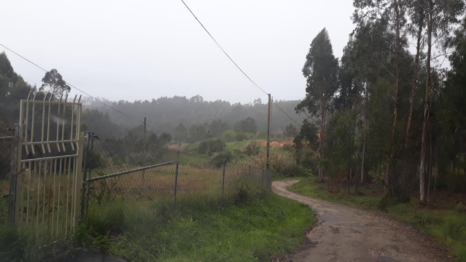 Moradia em Ruínas · Figueira da Foz — imagen 4