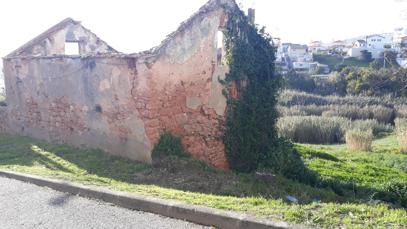 Terreno para Construção · Figueira da Foz — imagen 5