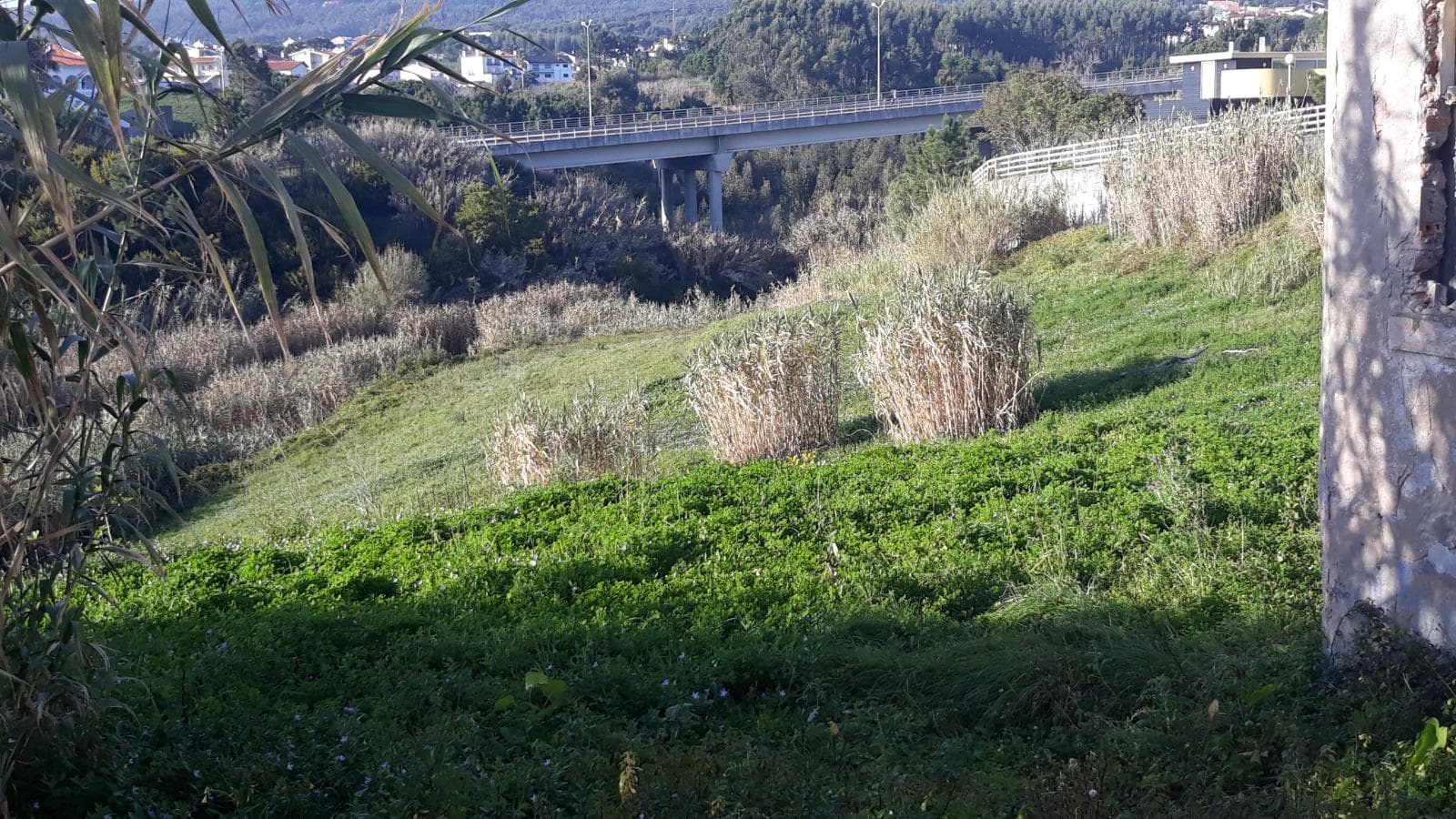 Terreno para Construção · Figueira da Foz — imagen 2