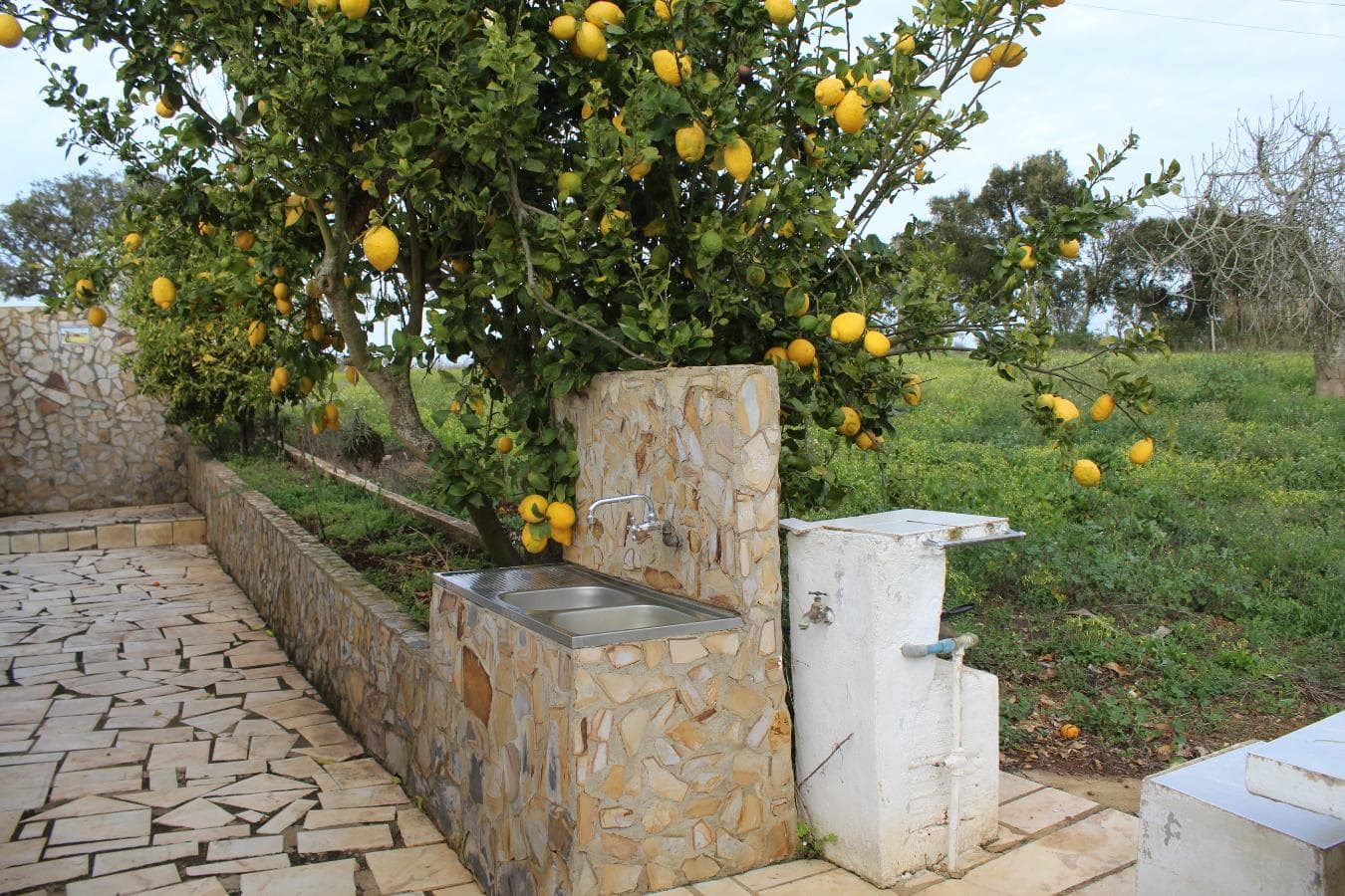 Monte Cercal do Alentejo · Santiago do Cacém — image 7