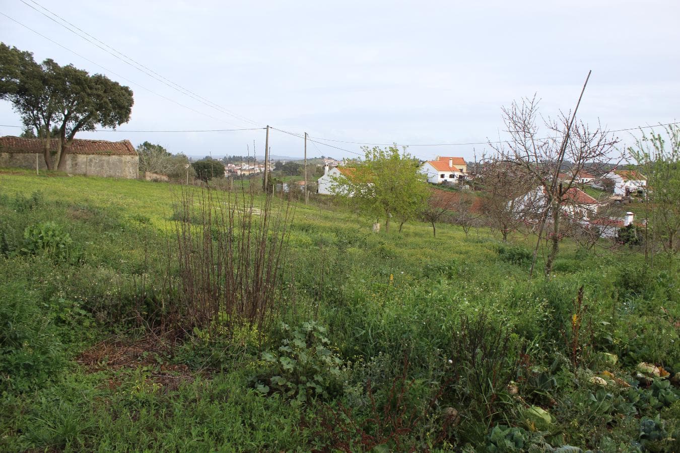 Monte Cercal do Alentejo · Santiago do Cacém — image 31