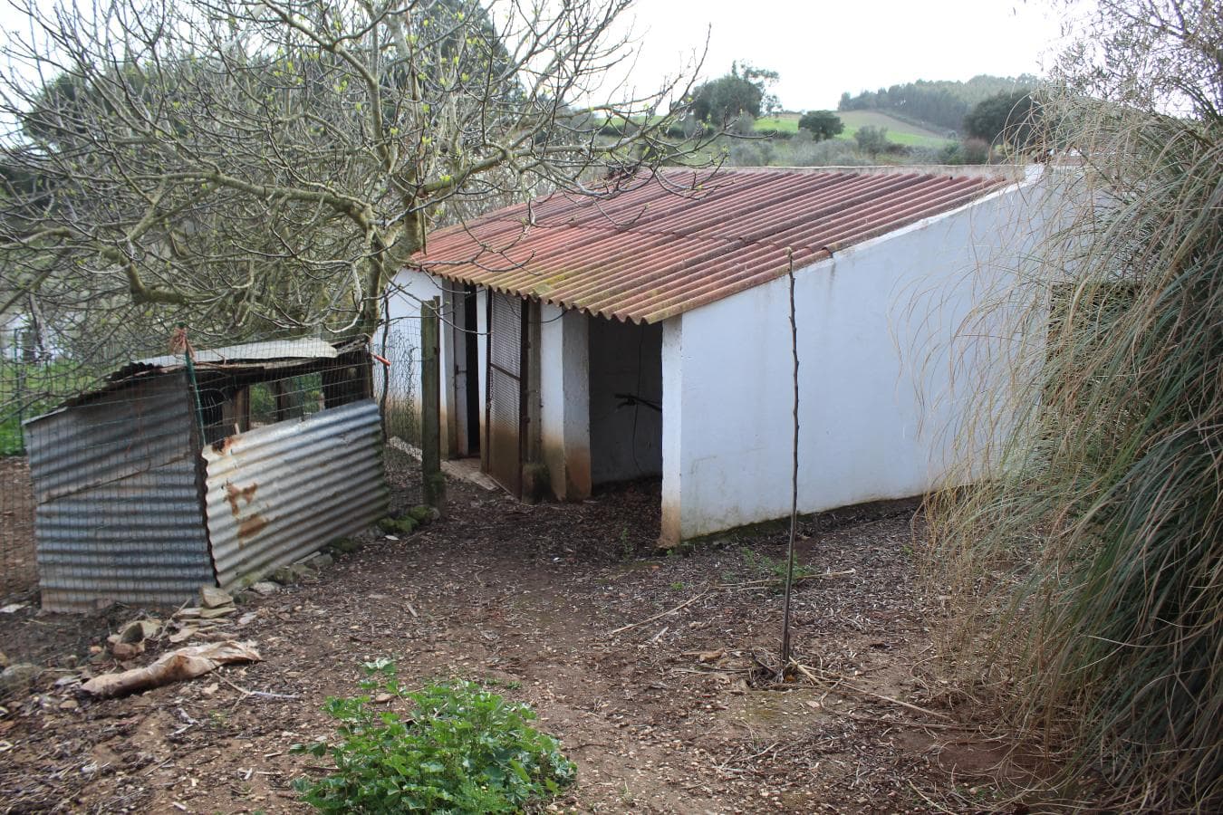 Monte Cercal do Alentejo · Santiago do Cacém — image 12