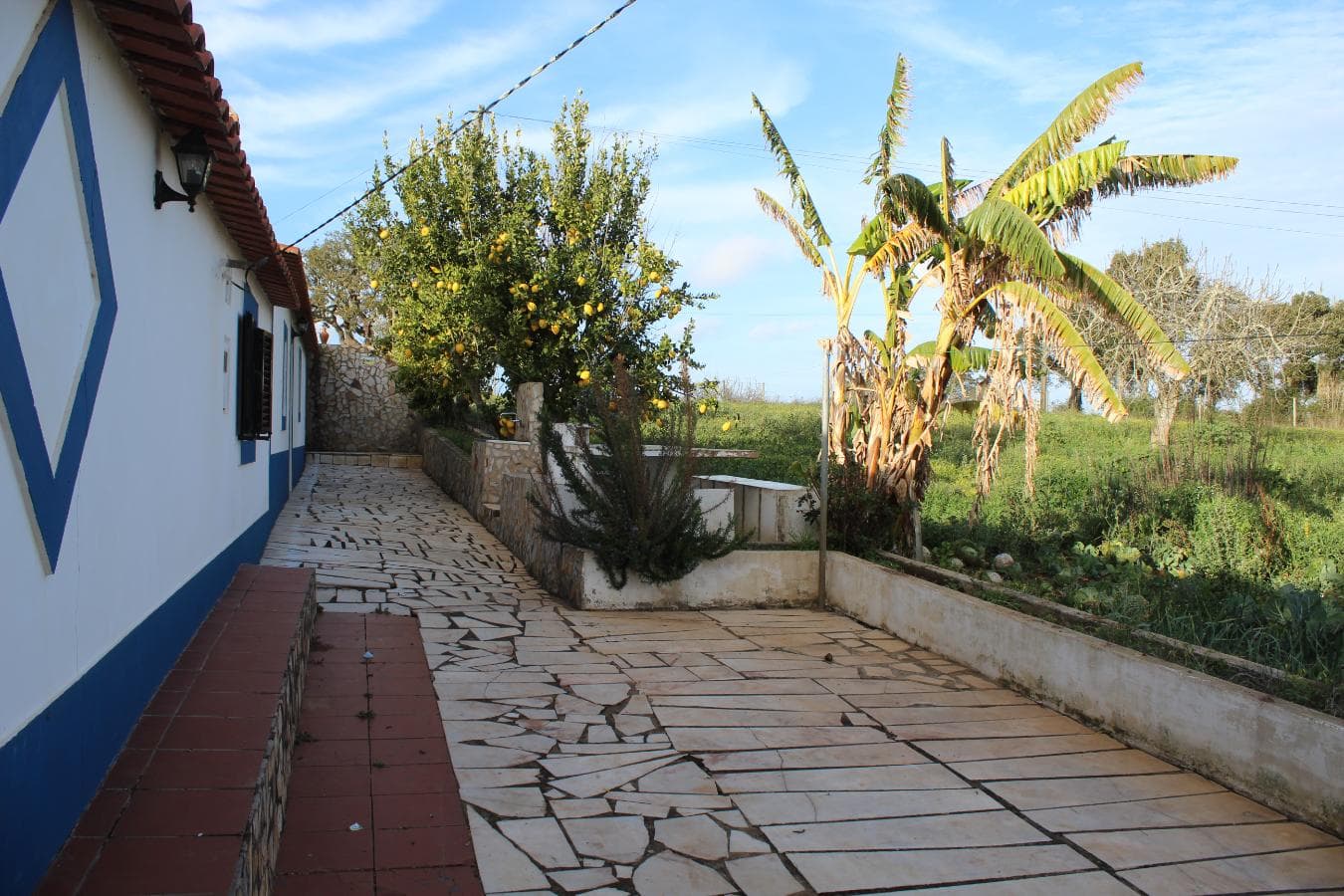 Monte Cercal do Alentejo · Santiago do Cacém — image 3