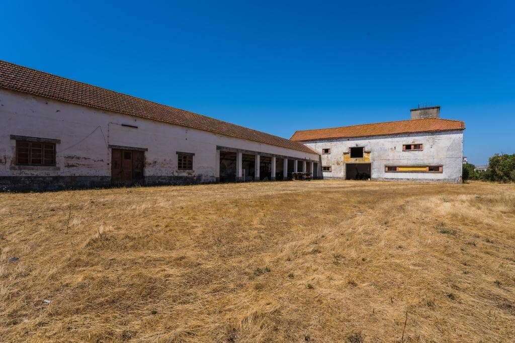 Herdade com 1,6 ha · Alpiarça, Santarém — image 6