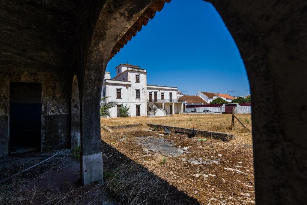 Herdade com 1,6 ha · Alpiarça, Santarém — image 13
