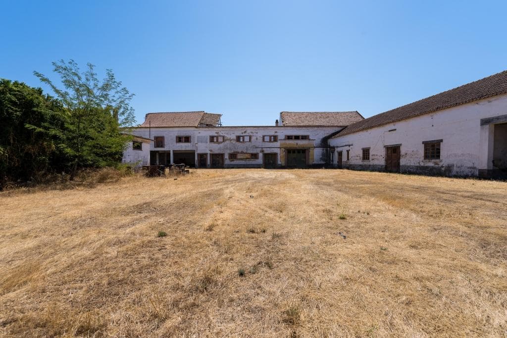 Herdade com 1,6 ha · Alpiarça, Santarém — image 10