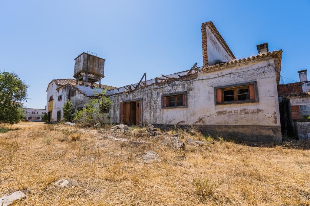 Herdade com 1,6 ha · Alpiarça, Santarém — image 11