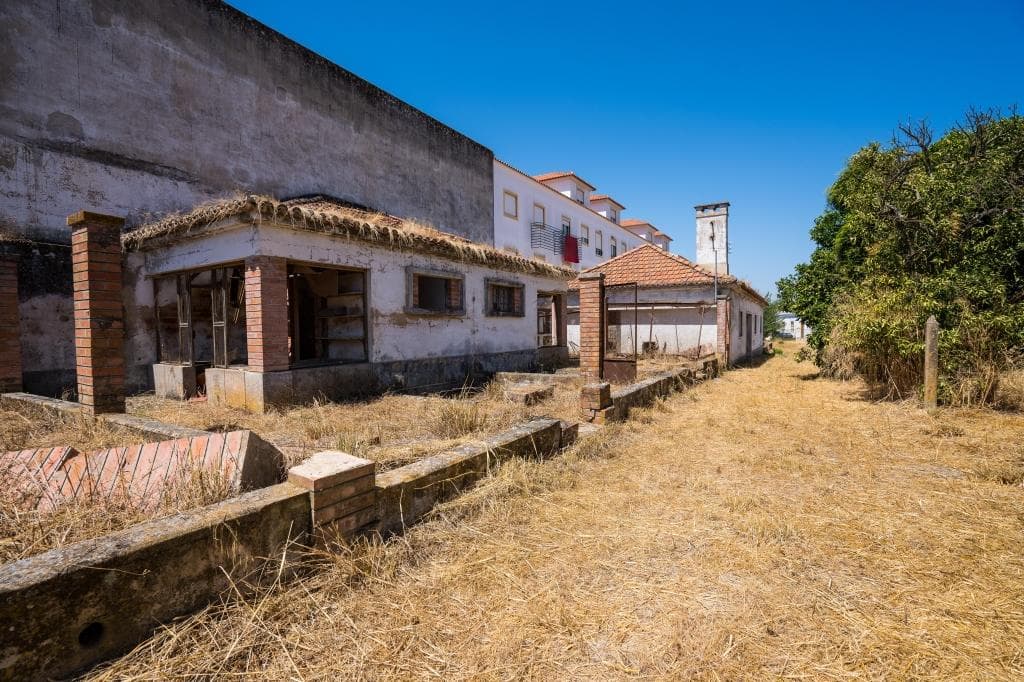 Herdade com 1,6 ha · Alpiarça, Santarém — image 7