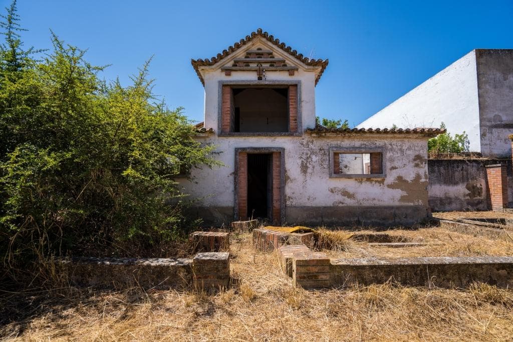 Herdade com 1,6 ha · Alpiarça, Santarém — image 8