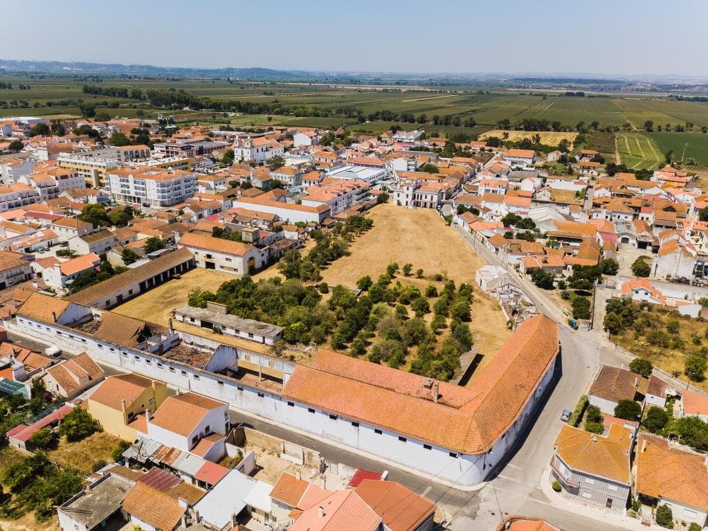 Herdade com 1,6 ha · Alpiarça, Santarém — image 3