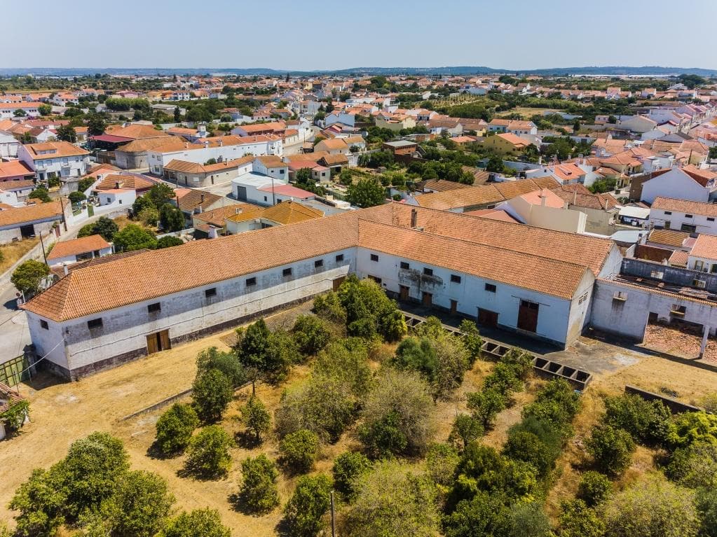 Herdade com 1,6 ha · Alpiarça, Santarém — image 4