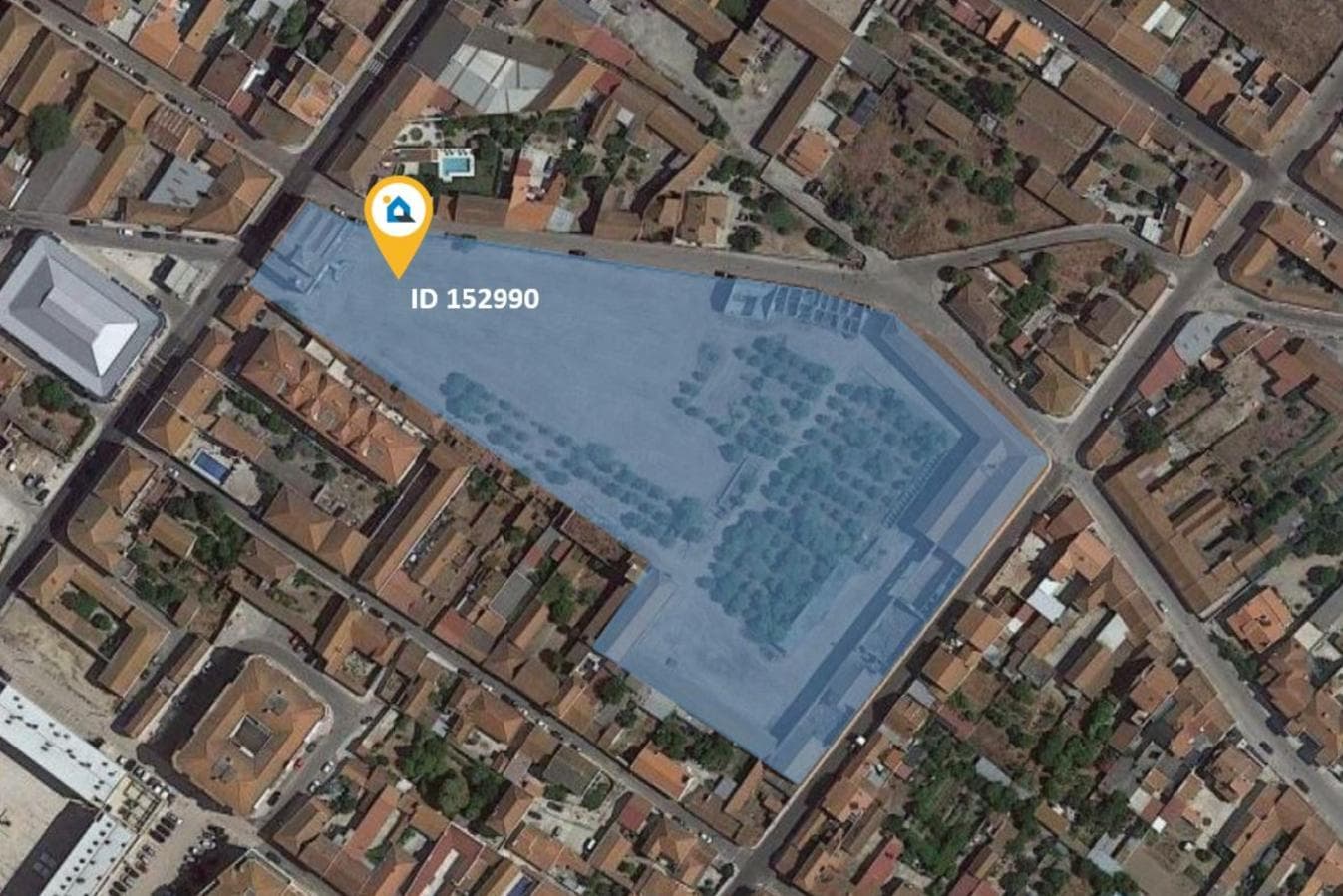 Herdade com 1,6 ha · Alpiarça, Santarém — image 23