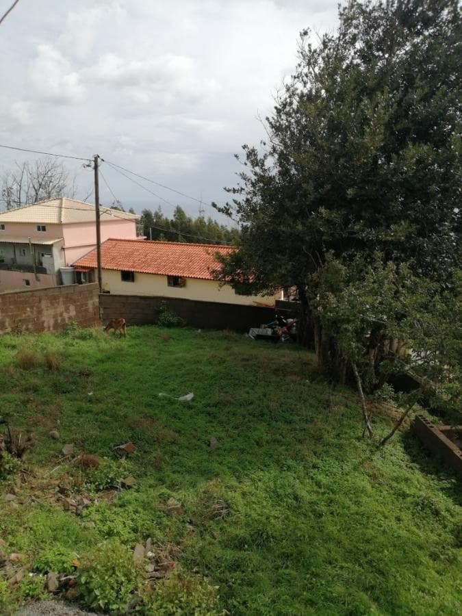 Moradia (Reabilitação)· Santa Cruz, Ilha da Madeira — imagen 4