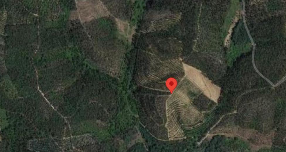 Terreno · Ferreira do Zêzere, Santarém — imagem 6