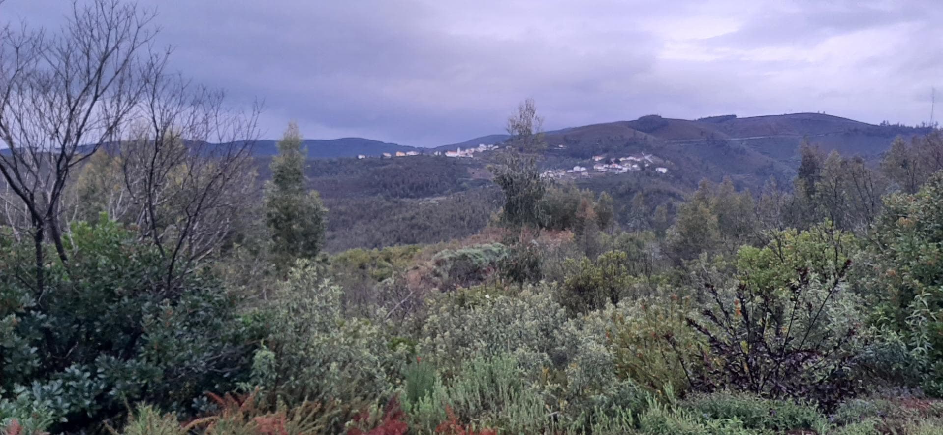 Moradia V2 · Pampilhosa da Serra, Coimbra — imagem 17