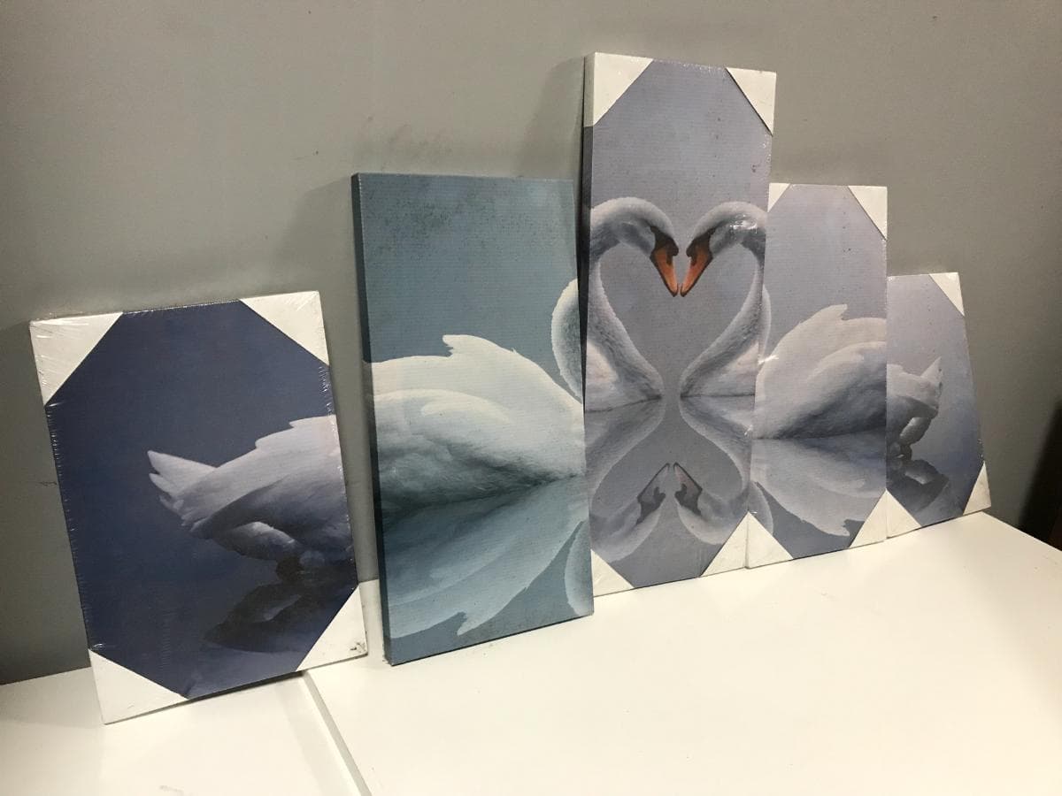 Quadros — imagem 3