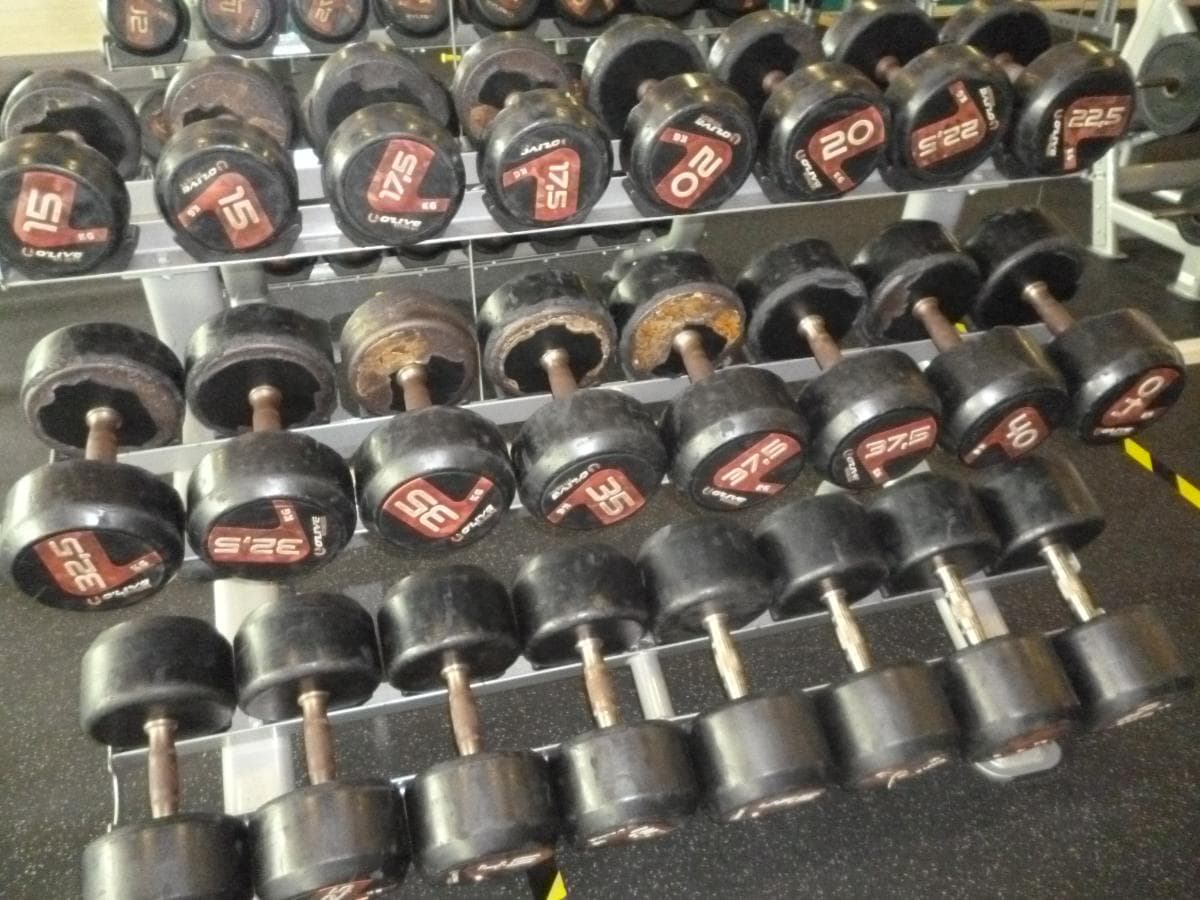 Equipamiento de Gimnasio — imagen 6