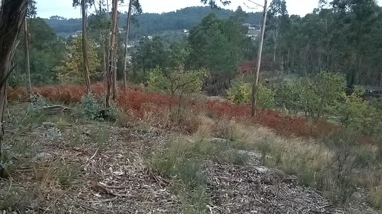 Proporção de 1/3 De Terrenos · Fafe — imagem 1
